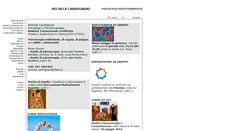 Desktop Screenshot of michelacarmignani.it